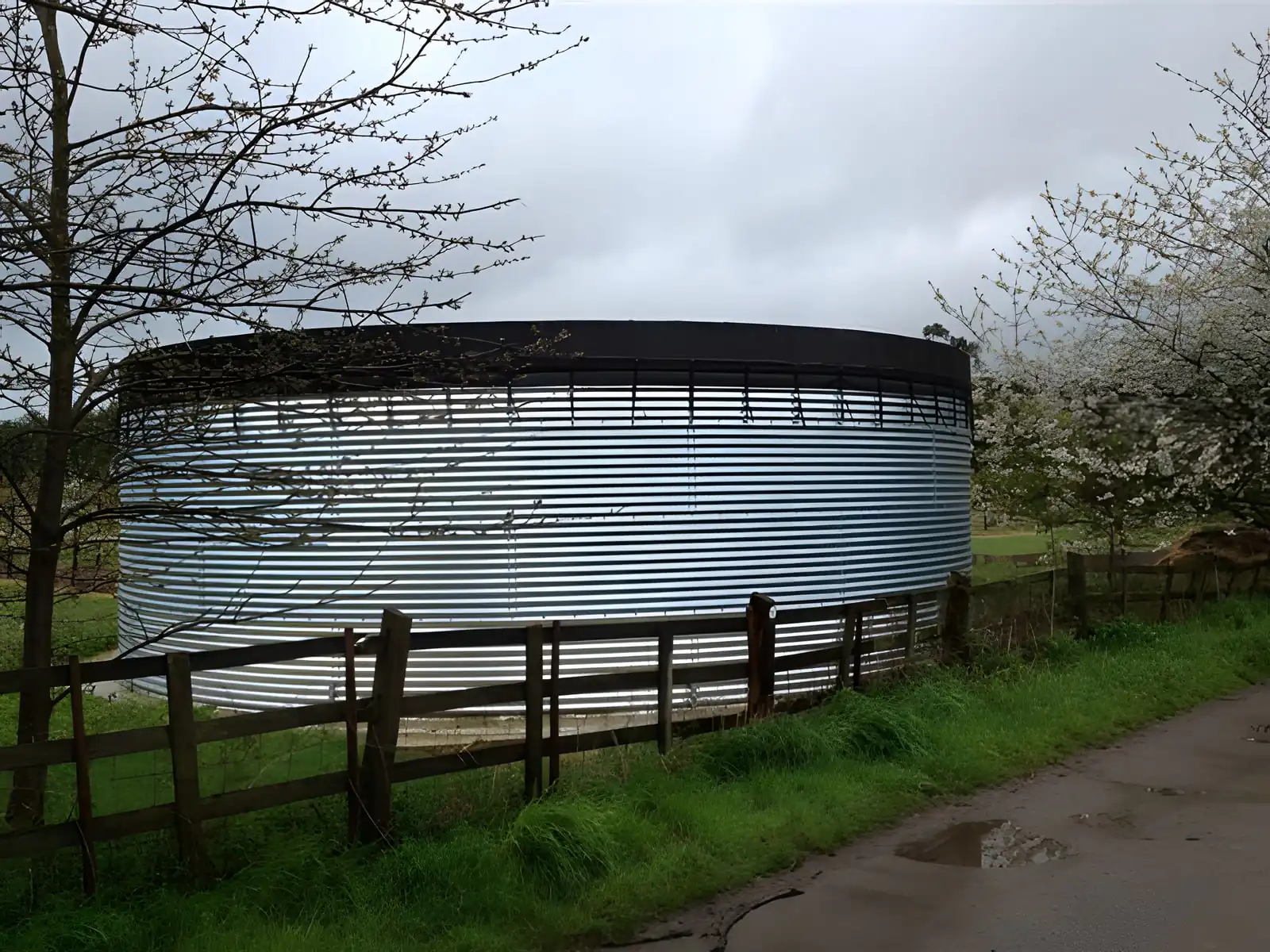 Steel water holding tank beside an orchard in blossom